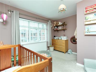 Picture 15